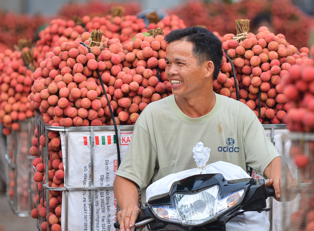 Ảnh: Người dân Bắc Giang cõng hàng tạ vải thiều đi bán từ 5h sáng khiến đường phố đỏ rực, tắc dài - Ảnh 8.