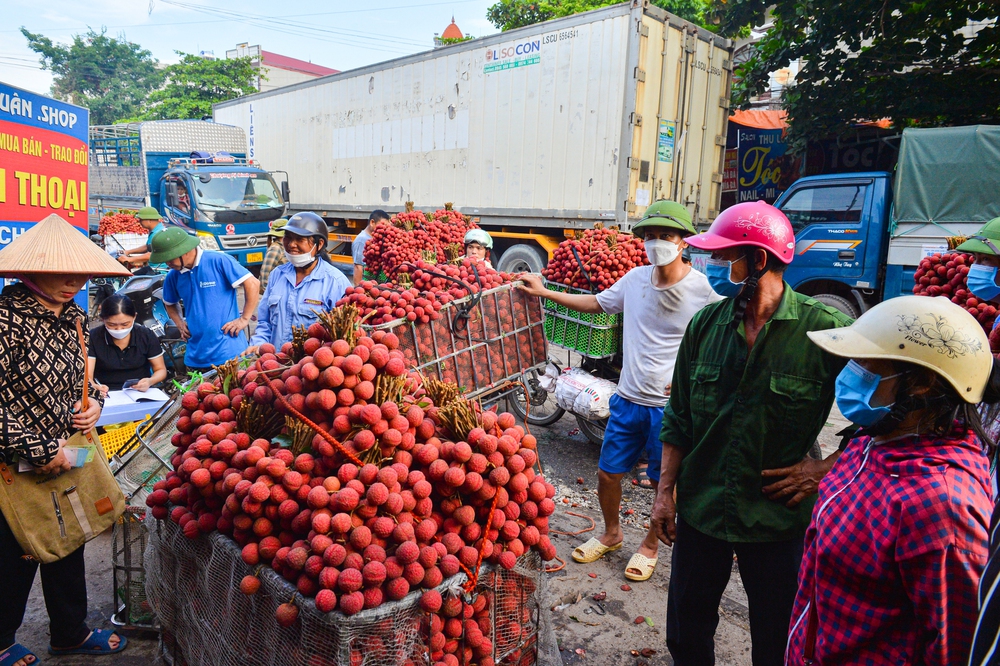 Ảnh: Người dân Bắc Giang cõng hàng tạ vải thiều đi bán từ 5h sáng khiến đường phố đỏ rực, tắc dài - Ảnh 12.