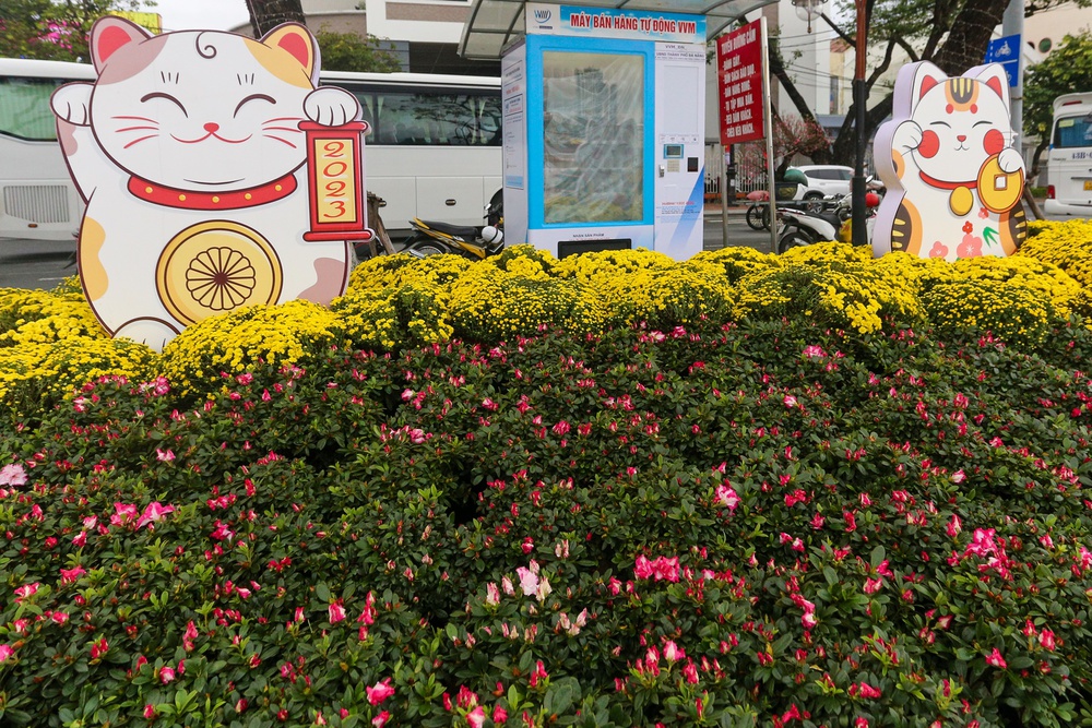 Lộ diện đàn linh vật mèo đủ biểu cảm tại đường hoa Xuân Đà Nẵng - Ảnh 17.