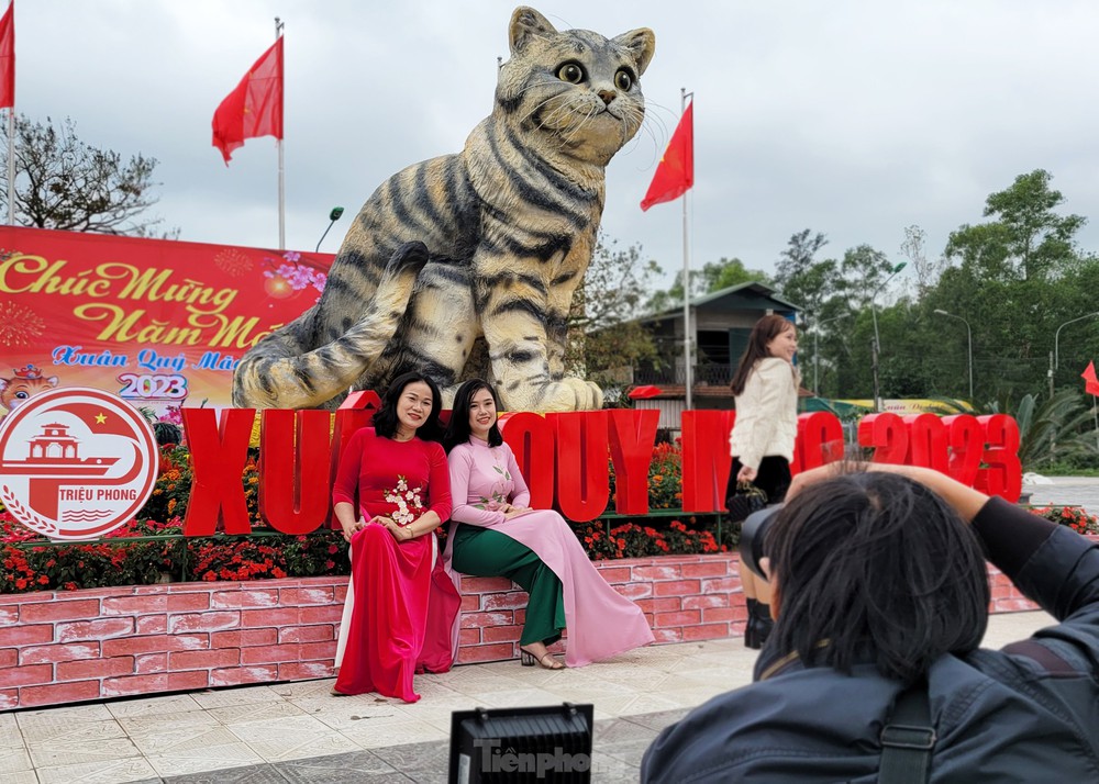 Đi hơn 10 km để chụp ảnh check in bên hoa hậu mèo Quảng Trị gây sốt mạng xã hội - Ảnh 7.