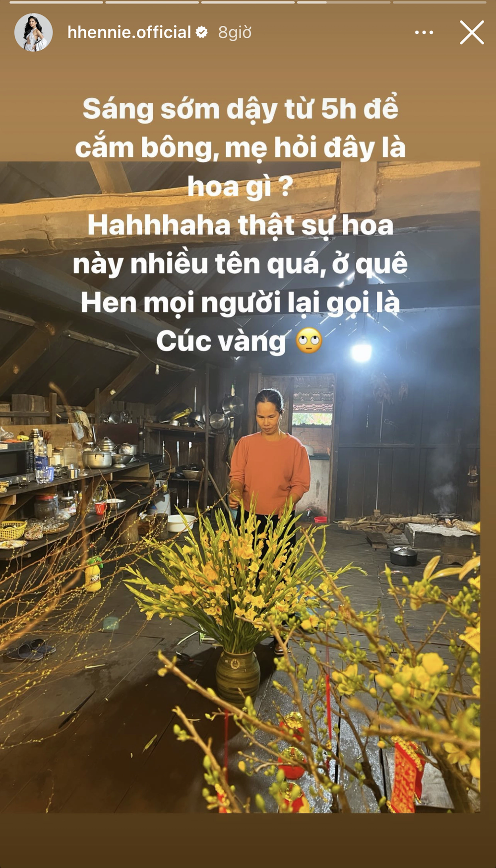Sao Việt thi nhau khoe thú chơi hoa ngày Tết: HHen Niê gây ấn tượng với loại hoa cúc lạ  - Ảnh 4.