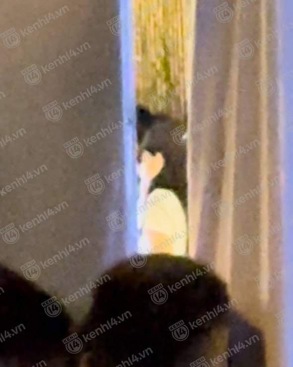 BLACKPINK trở về khách sạn từ chuyến bay: Ngỡ ngàng với sự bảo vệ chặt chẽ, Jennie và Lisa lộ diện ngay lập tức!