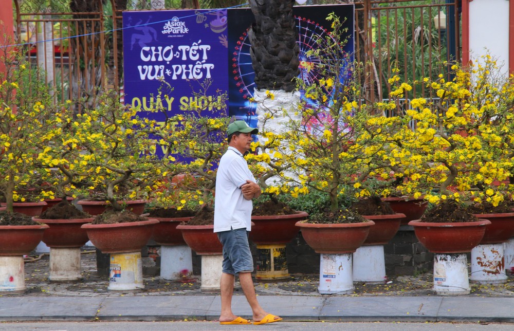 Vắng bóng thượng đế, tiểu thương tại chợ hoa Tết lớn nhất Đà Nẵng đứng ngồi không yên - Ảnh 4.