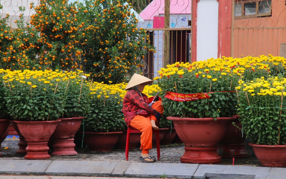 Vắng bóng thượng đế, tiểu thương tại chợ hoa Tết lớn nhất Đà Nẵng đứng ngồi không yên - Ảnh 5.