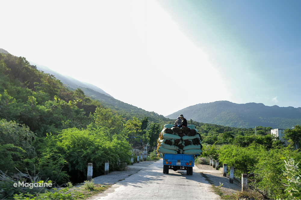 Nha Trang "no filter": Khi bạn chịu bước ra khỏi v&ugrave;ng an to&agrave;n của chiếc ghế tắm nắng - Ảnh 28.