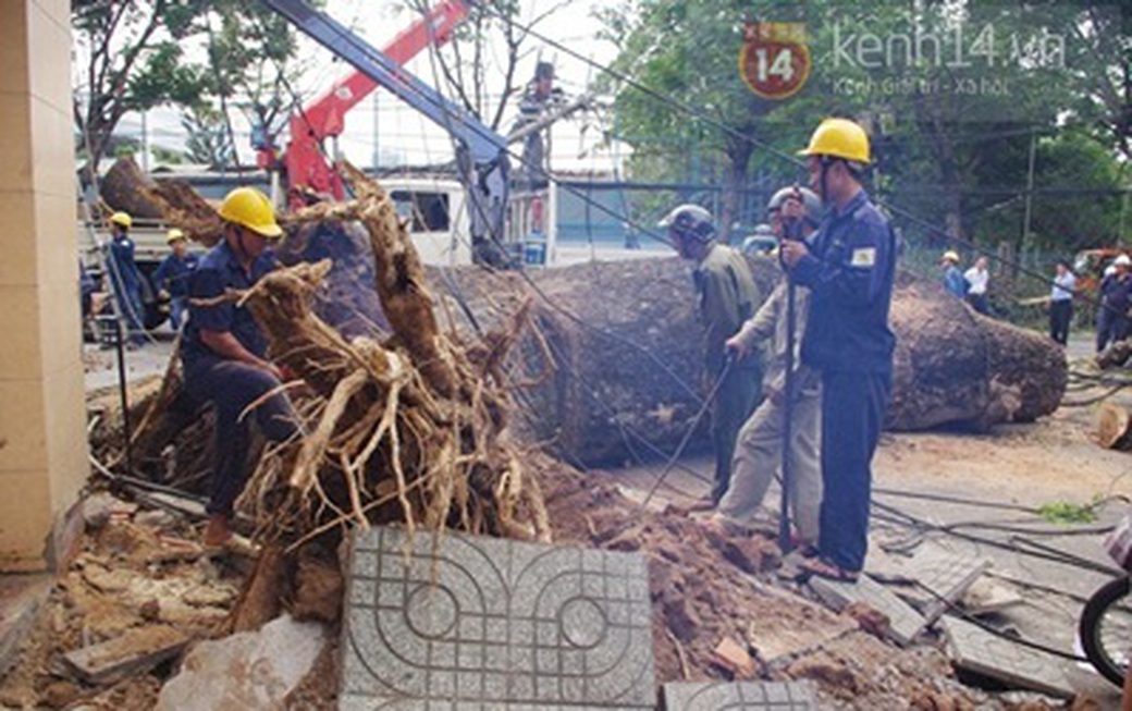 cột điện