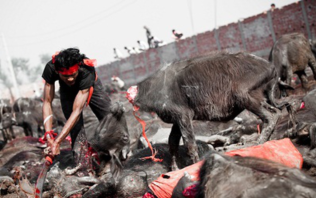 Nepal