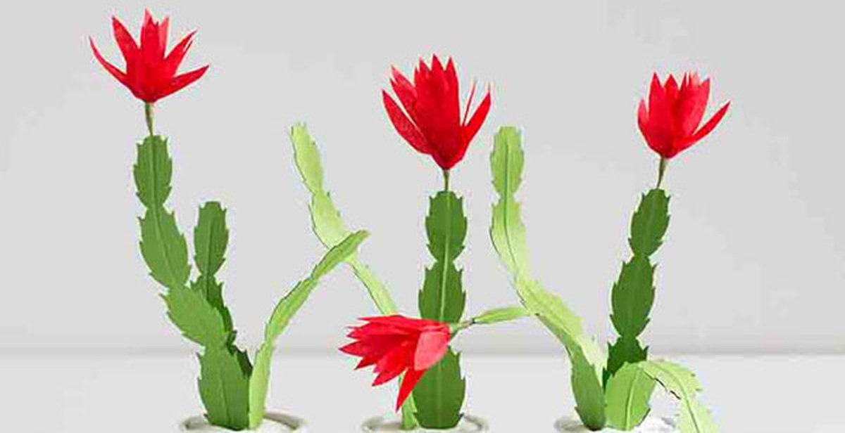 Bí mật sau 