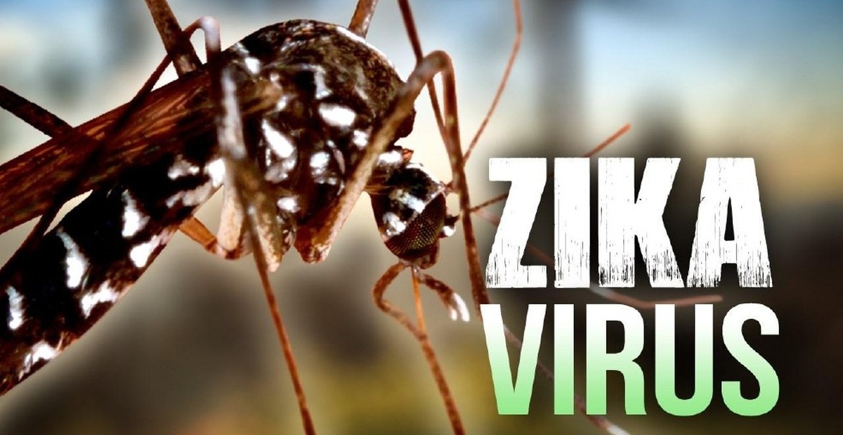 Những điều cần biết về virus Zika