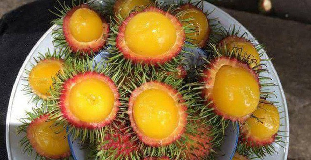Ăn chôm chôm đem lại nhiều lợi ích hơn bạn tưởng rất nhiều