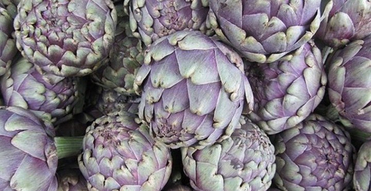 Khám phá tác dụng ngăn ngừa ung thư và chống lão hóa của atiso