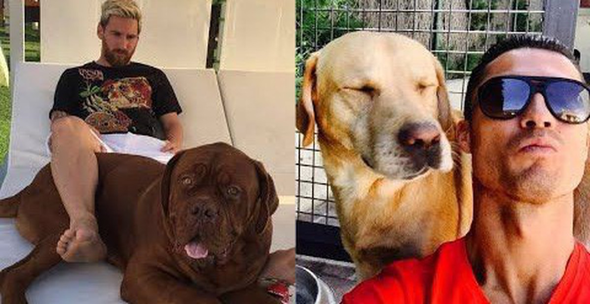 Soi cún cưng của các siêu sao: Ronaldo dùng chó để tán gái, Messi thì ...