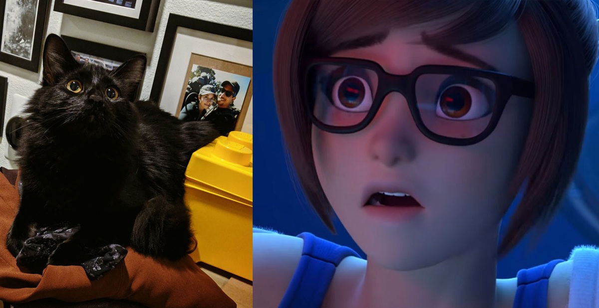 Vị tướng bị căm ghét nhất đã bị ban tại giải đấu Overwatch League nhờ ...
