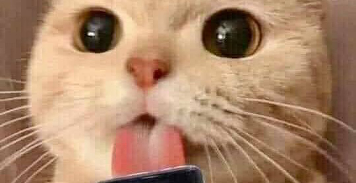 “Mlem mlem” là gì? Vì sao nó lại gây mưa bão khắp cõi mạng suốt năm 2020?