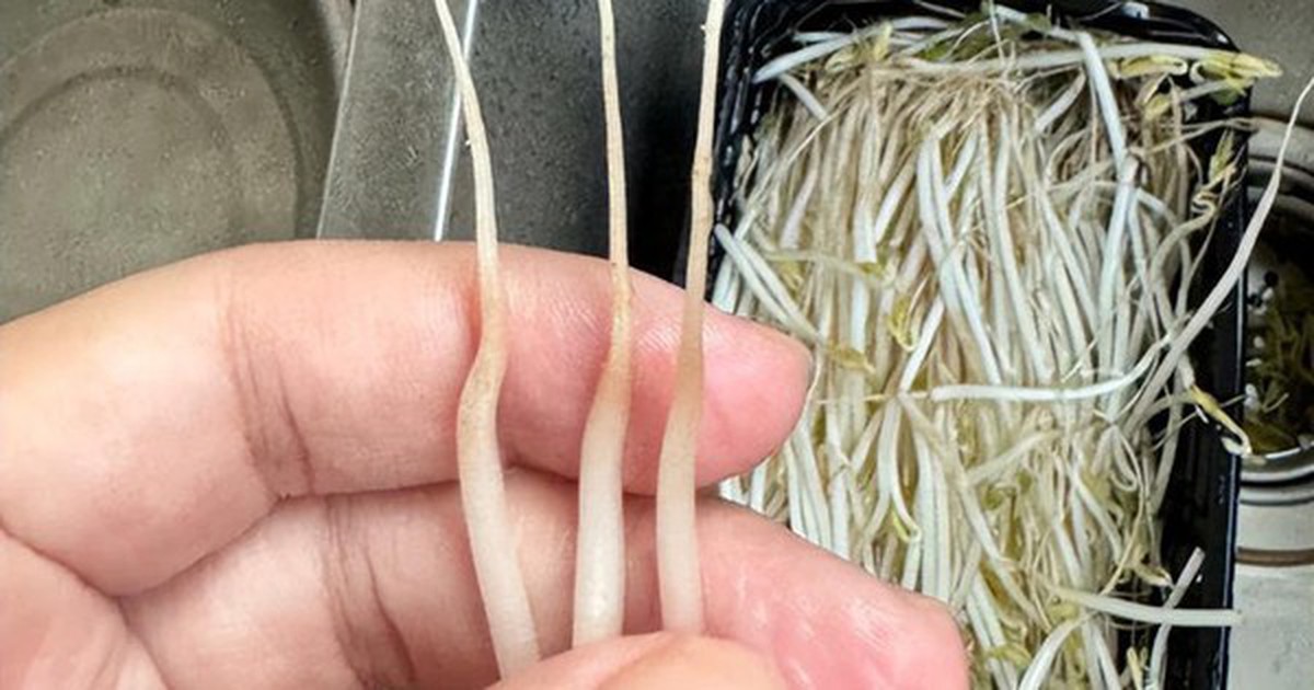 4 loại rau ở chợ thường bị “tắm thuốc” cho đẹp mắt, người bán không dám ...