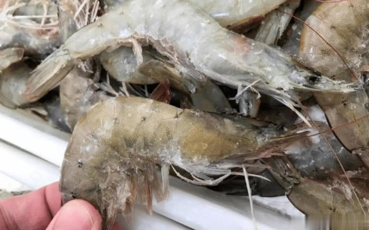 Mua tôm đông lạnh nên chọn con thẳng hay cong? Nhìn vào điểm này mà lựa ...
