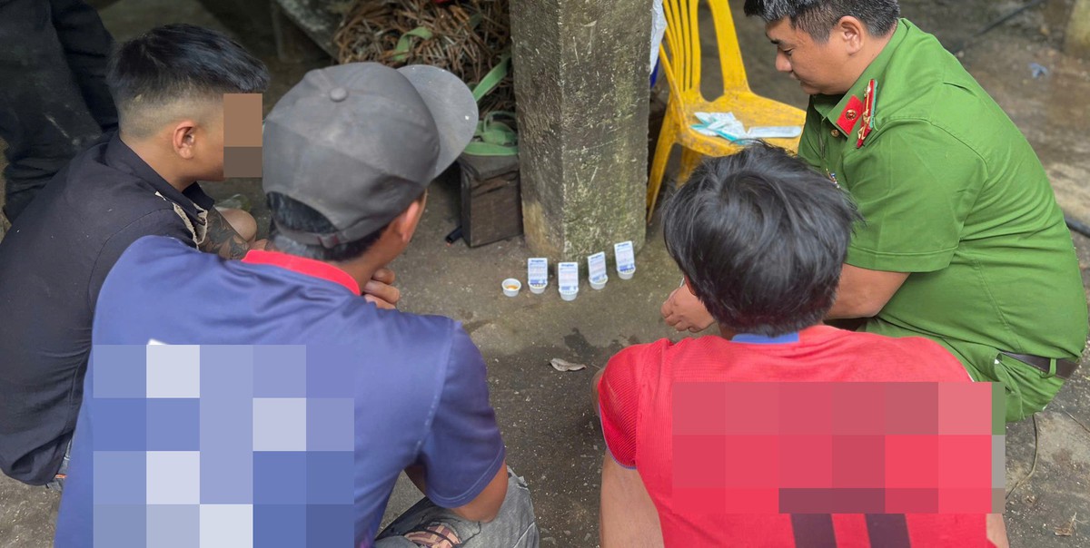 Đà Nẵng: Thử test ma túy đột xuất 39 công nhân làm việc tại các vườn trồng sâm Ngọc Linh