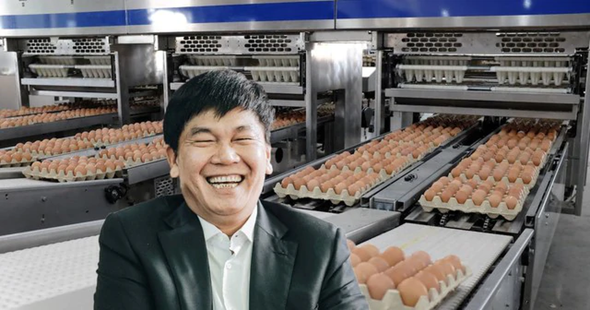 Công ty của tỷ phú Trần Đình Long bán gần 1 triệu quả trứng gà mỗi ngày, đưa hàng sang cả Lào và Campuchia