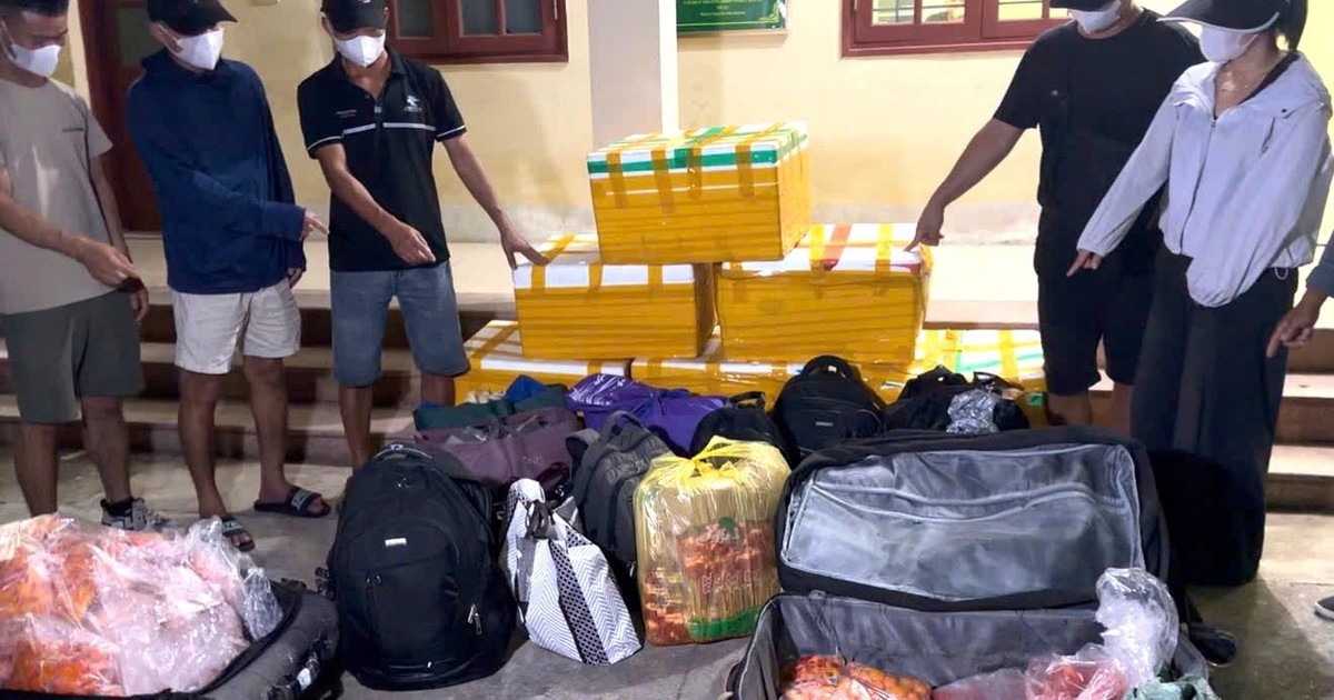 Phá đường dây vận chuyển hơn 700kg trứng gà non không rõ nguồn gốc qua cửa khẩu