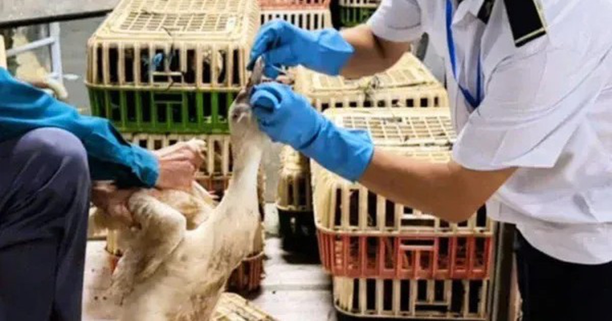 Kiểm tra chiếc xe màu trắng từ Đồng Nai vào TP.HCM lúc rạng sáng, phát hiện điều bất thường bên trong