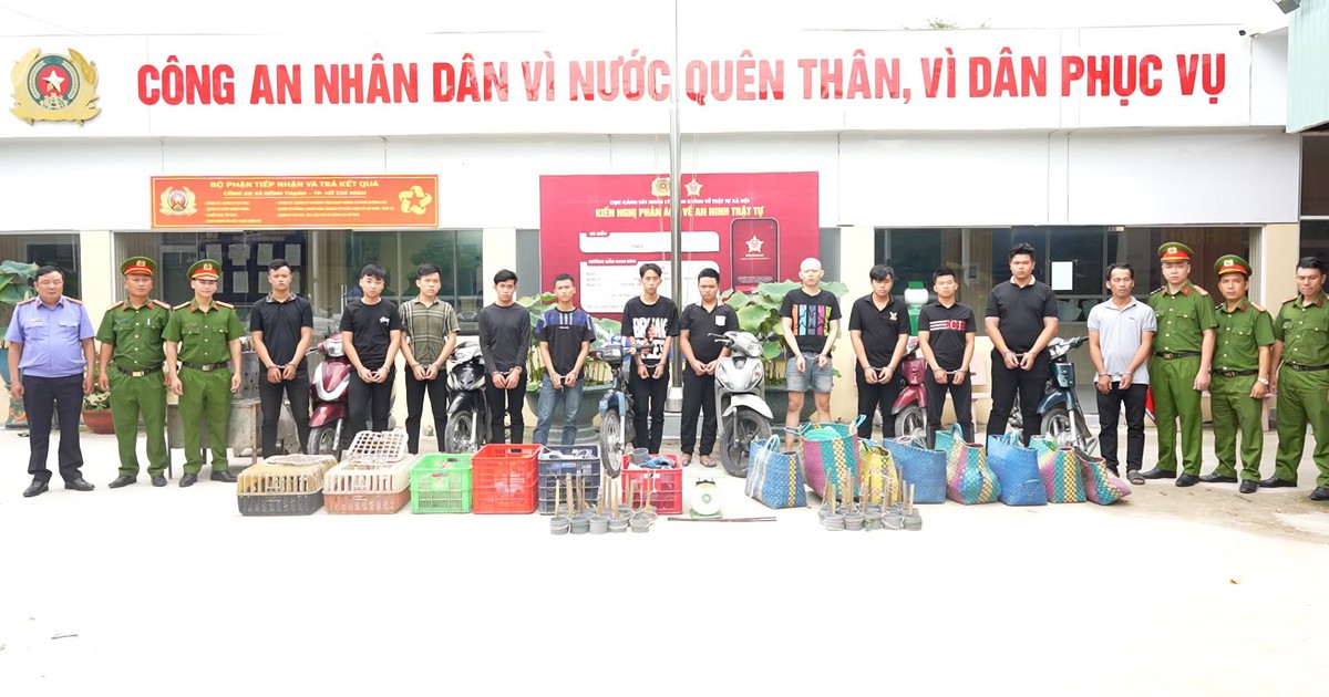 Đường dây “mèo tặc” tiêu thụ khoảng 2.700 con: Công an tìm chủ nhân của những thú cưng bị mất