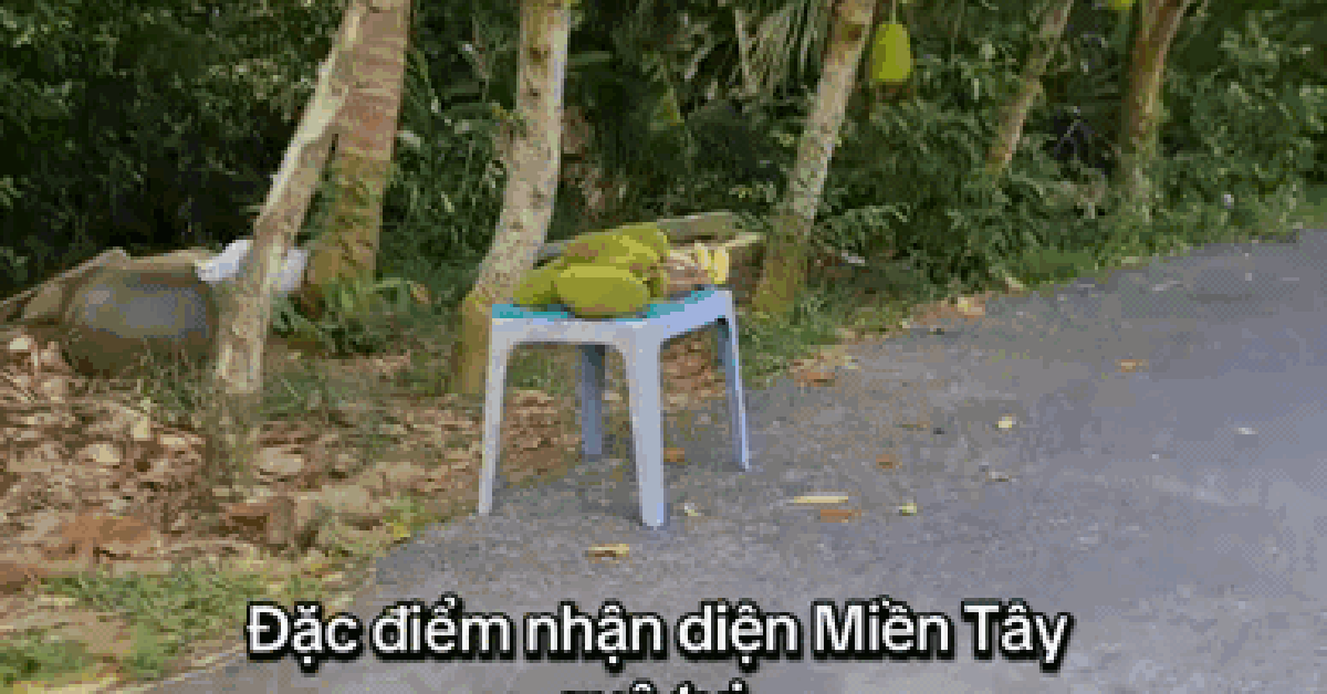 Miền Tây: Khám phá "đặc sản" độc đáo, lật tung mọi nơi