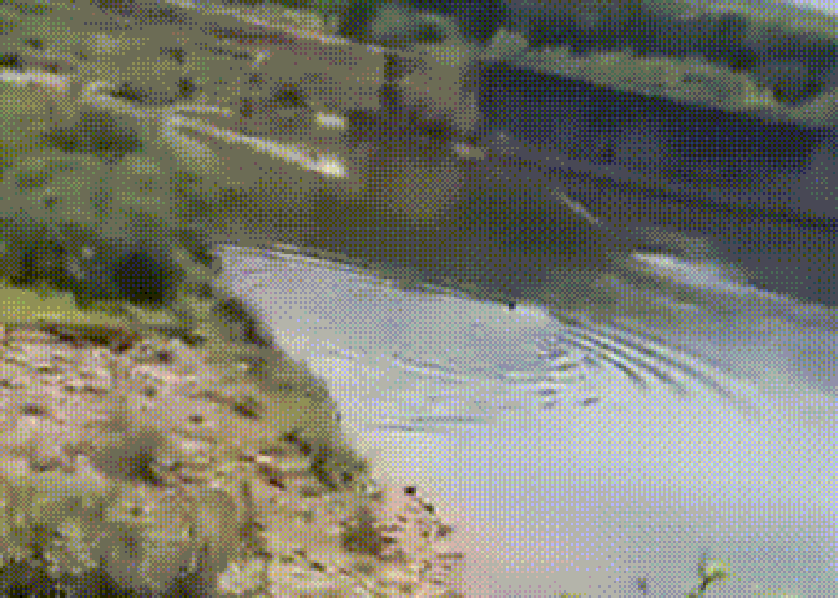 Thót tim giây phút cứu nam sinh lớp 8 bị đuối nước