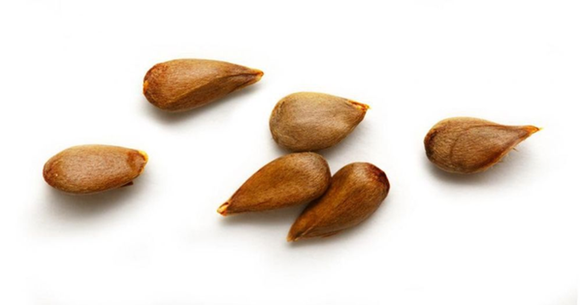 Loại quả ngon mắt nhưng chứa "chất kịch độc", mâm cơm nhà nào cũng có mà không hay