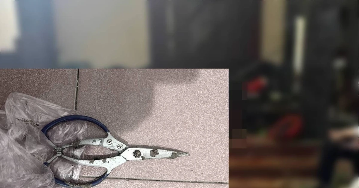 Dùng kéo đâm nhiều nhát vào ngực, bụng "vợ hờ" vì bị đuổi ra khỏi nhà