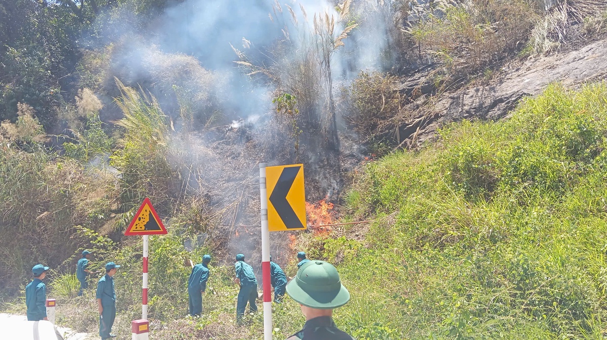 Cháy rừng trên đèo Bảo Lộc, hơn 100 người tham gia dập lửa