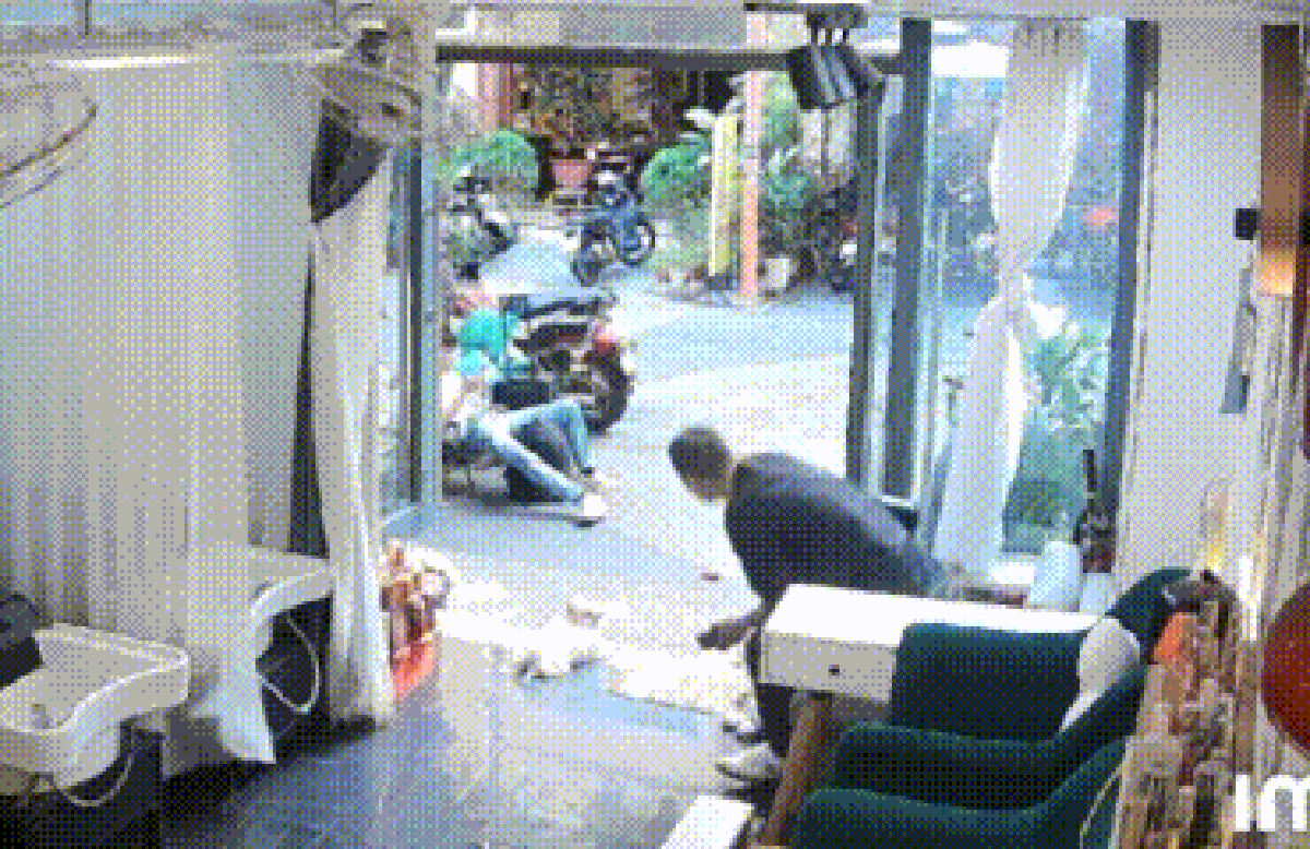 Clip: Người đàn ông đá chó cảnh ở tiệm spa gây bức xúc