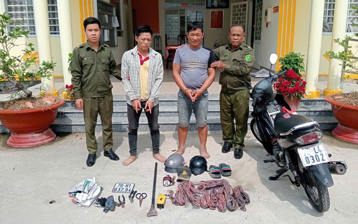 Hàng loạt trụ điện chiếu sáng bỗng tắt lịm, công an phát hiện sự thật trong rừng cao su