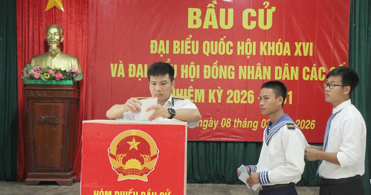 Cử tri nô nức bầu cử sớm