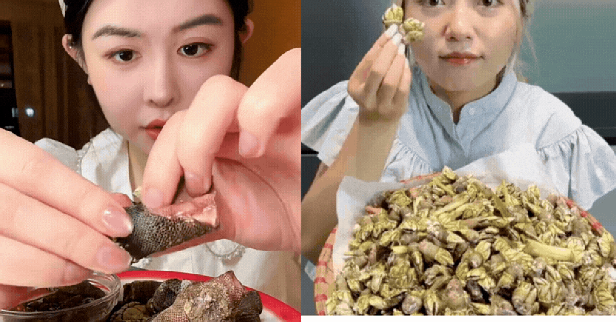 Hè đến rồi, loại ốc "ngón tay quỷ" này lại lên ngôi: Khó bắt - giá đắt, ở Việt Nam không phải vùng biển nào cũng có!