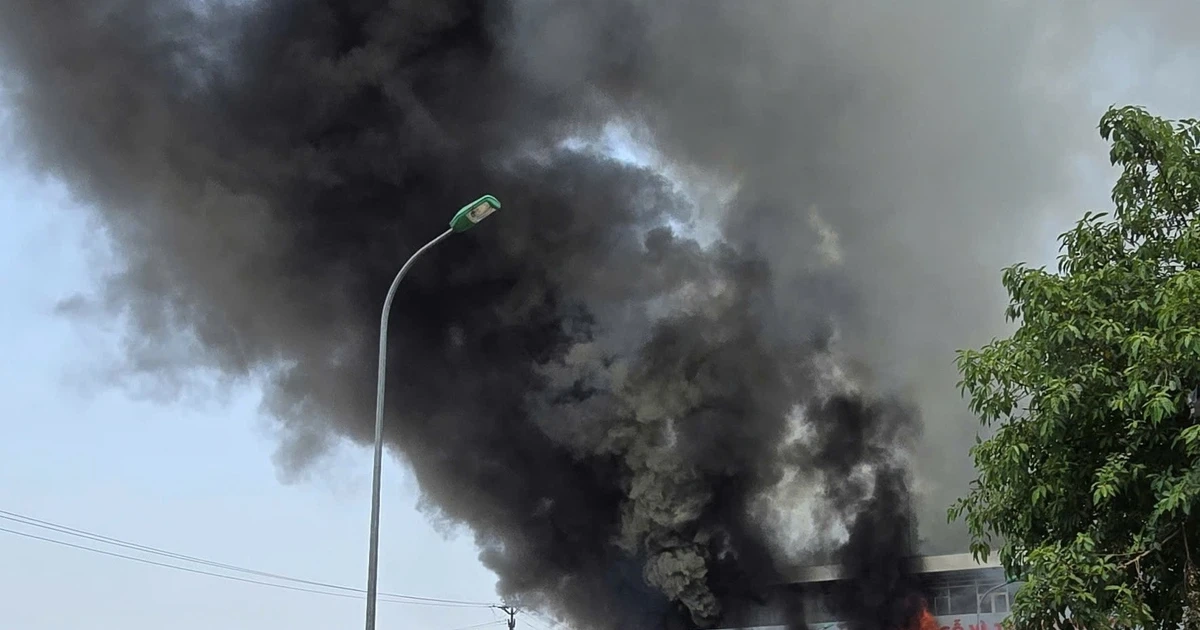 Toà nhà trưng bày gỗ 3 tầng bốc cháy dữ dội giữa nắng nóng 40°C