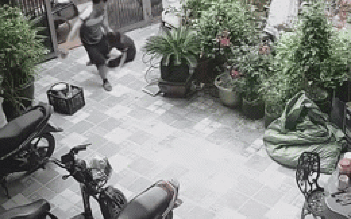 Chồng đánh vợ dã man từ ngoài sân vào trong nhà: Đã rõ nguyên nhân