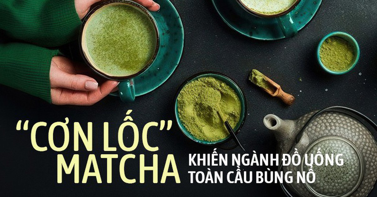 Giá matcha tăng 180% trong vòng 1 năm: Ngành đồ uống toàn cầu chạy đua săn lùng trend mới