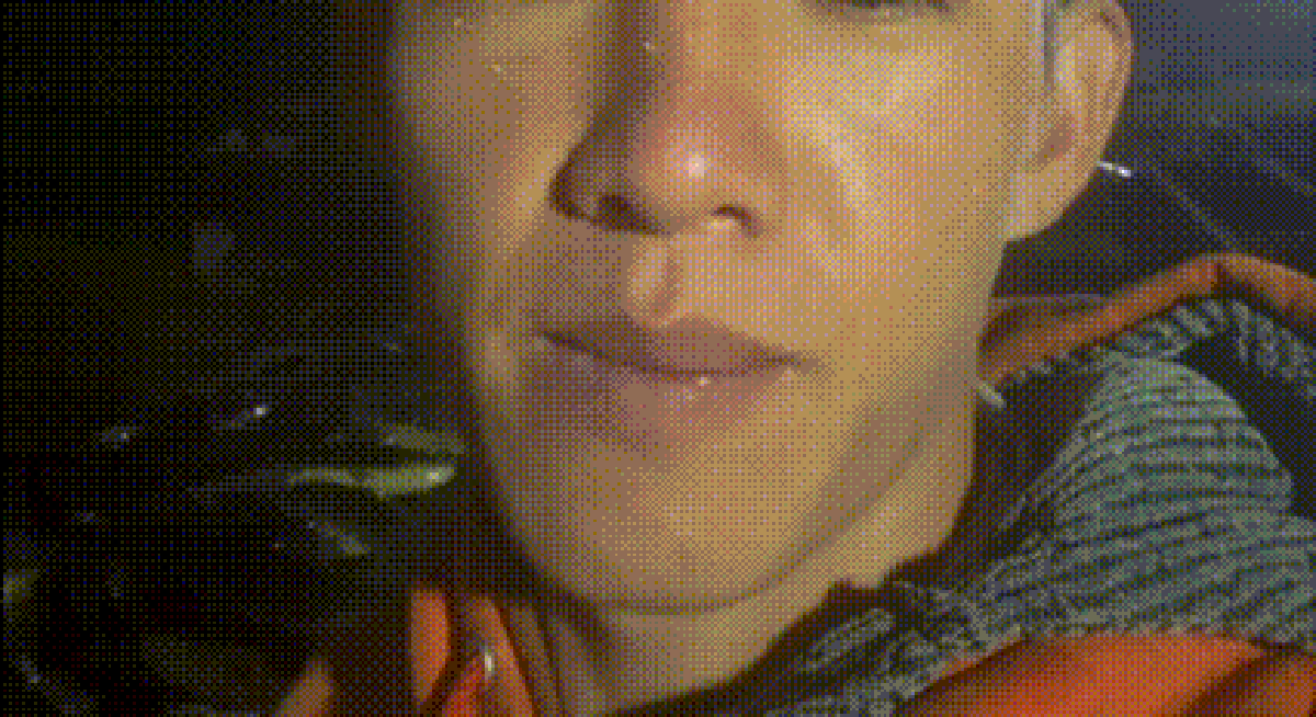 Chàng trai trẻ khóc nghẹn khi hơn 30 tấn cá tầm chết trắng hồ