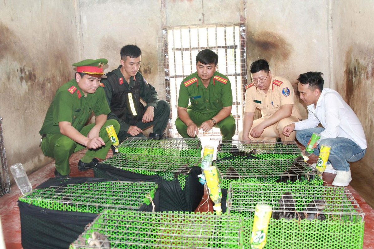 Phát hiện 40 lồng nhựa bất thường bên trong khoang hàng: Công an bắt giữ Nguyễn Văn Chương SN 1992