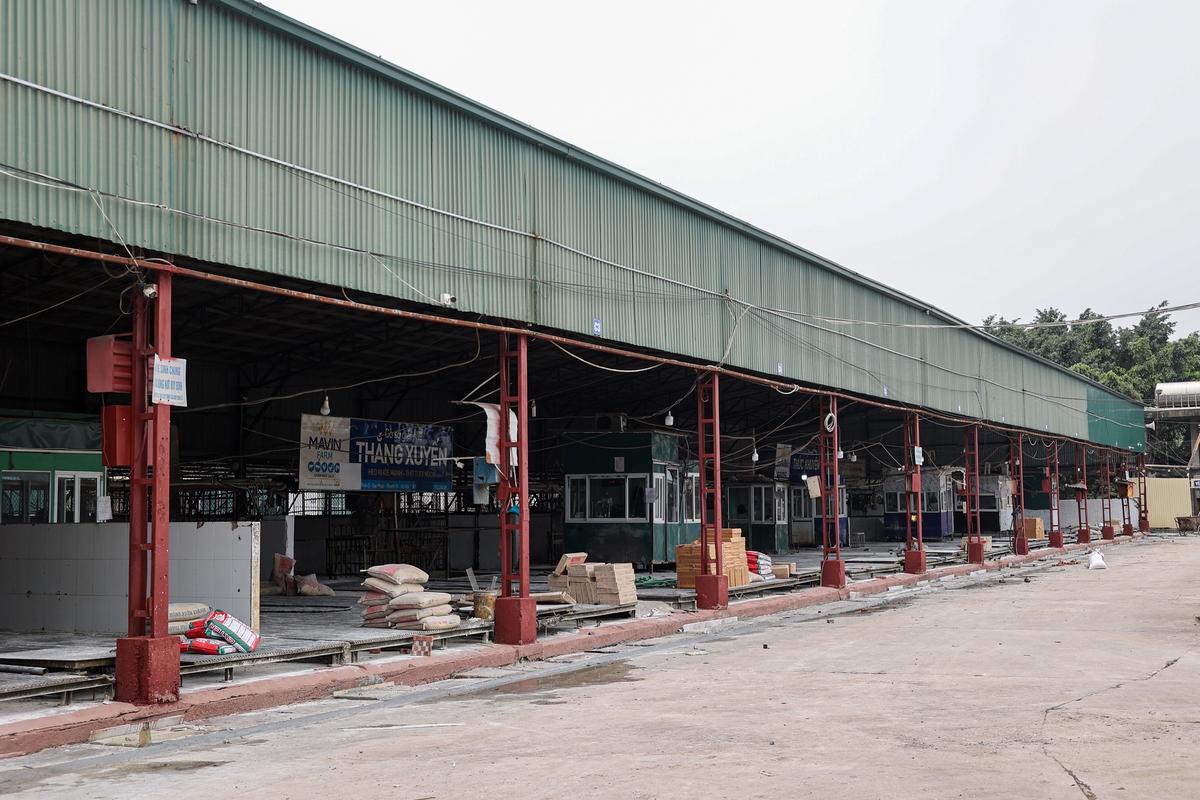 Cận cảnh lò mổ tuồn gần 300 tấn lợn bệnh vào trường học, chợ đầu mối ở Hà Nội