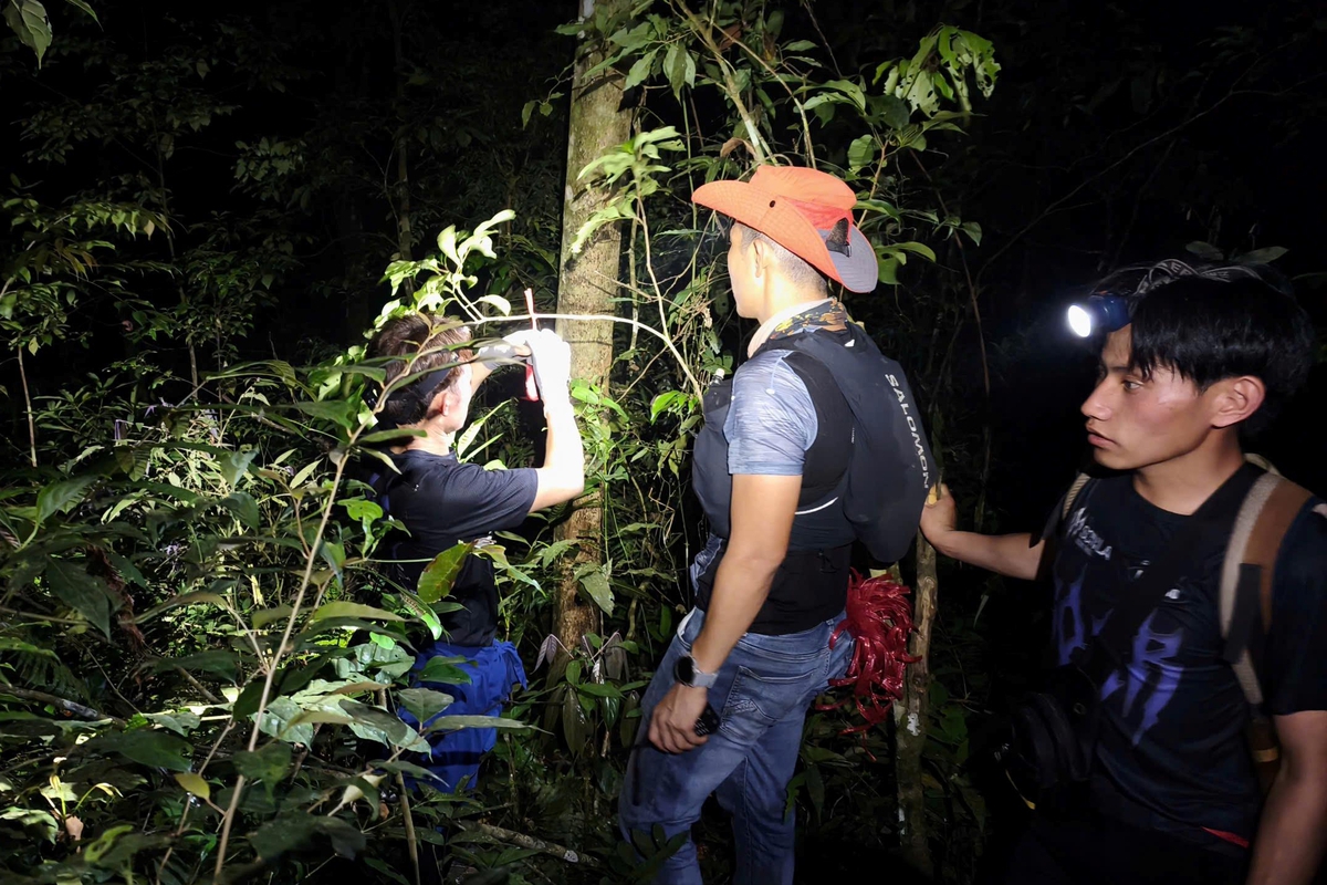 Từ ảnh gửi bạn gái, lực lượng quân đội "cắt lớp" tìm vị trí nam sinh mất tích ở Tam Đảo