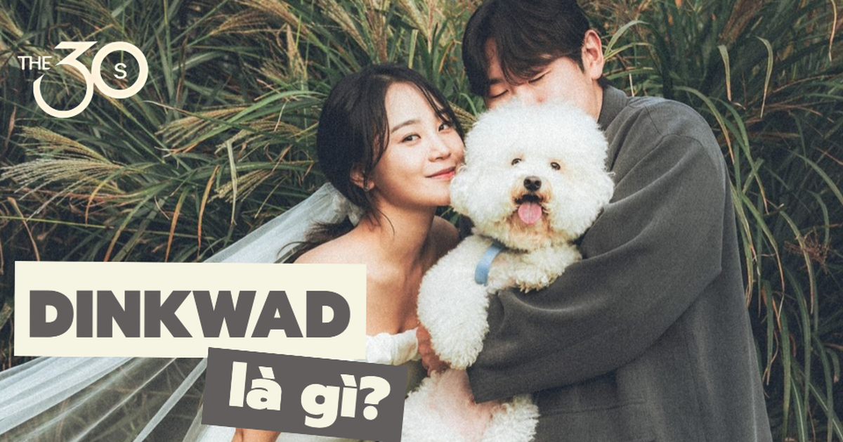 Giải mã DINKWAD: Tại sao người ta lại chọn kết hôn, nhân đôi thu nhập, không có con nhưng nuôi chó?