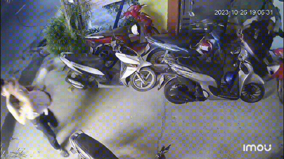 Vụ "bị đánh thân tàn ma dại, thương tích 0%": Cơ quan điều tra kết luận gì?