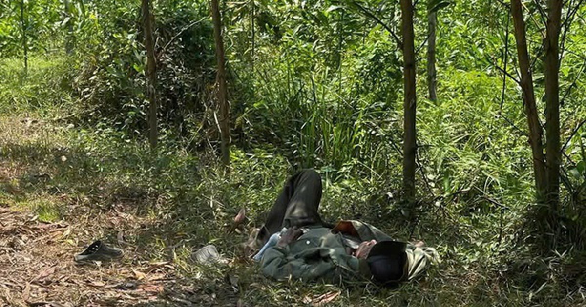 Cụ ông 79 tuổi mang "thỏi vàng" nằm lả bên vệ đường ở giữa rừng tràm