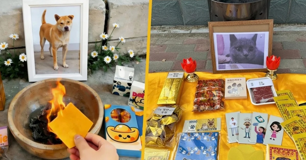 Đám tang xa xỉ cho thú cưng: Nghi lễ long trọng, đốt vàng mã có cả người hầu