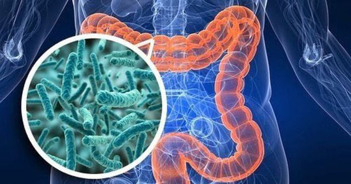 Những thói quen đang "nuôi dưỡng" ung thư đại trực tràng: Đừng xem nhẹ 4 tín hiệu cảnh báo từ cơ thể!