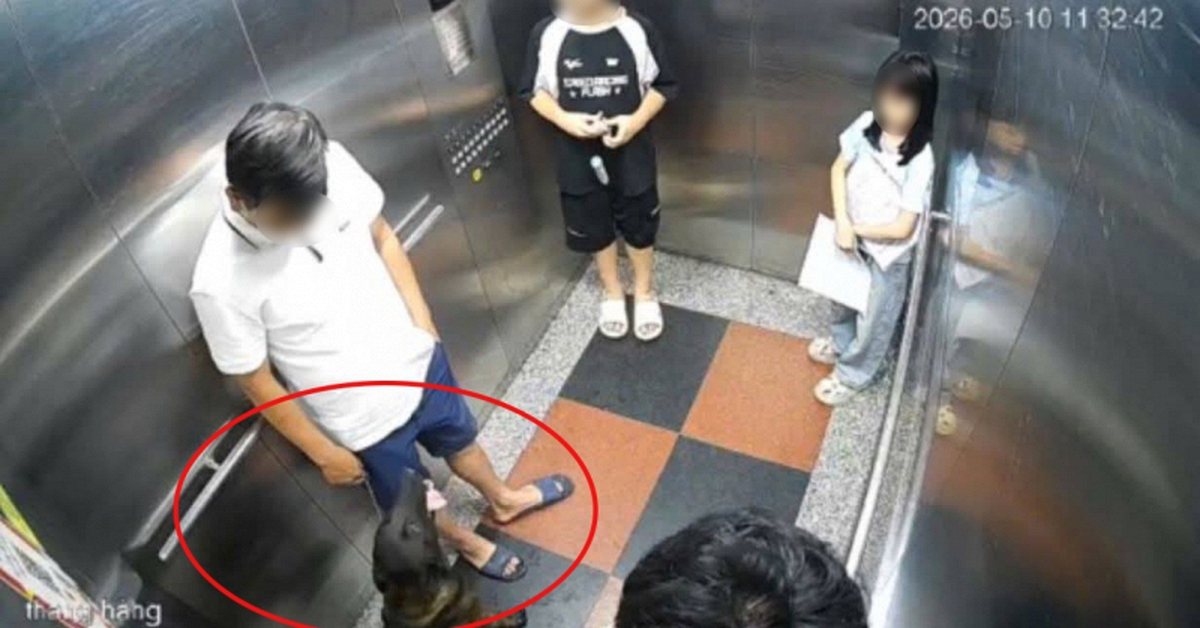 Hà Nội: Bị nhắc đeo rọ mõm cho chó, cư dân đấm gục thành viên ban quản trị chung cư, công an vào cuộc