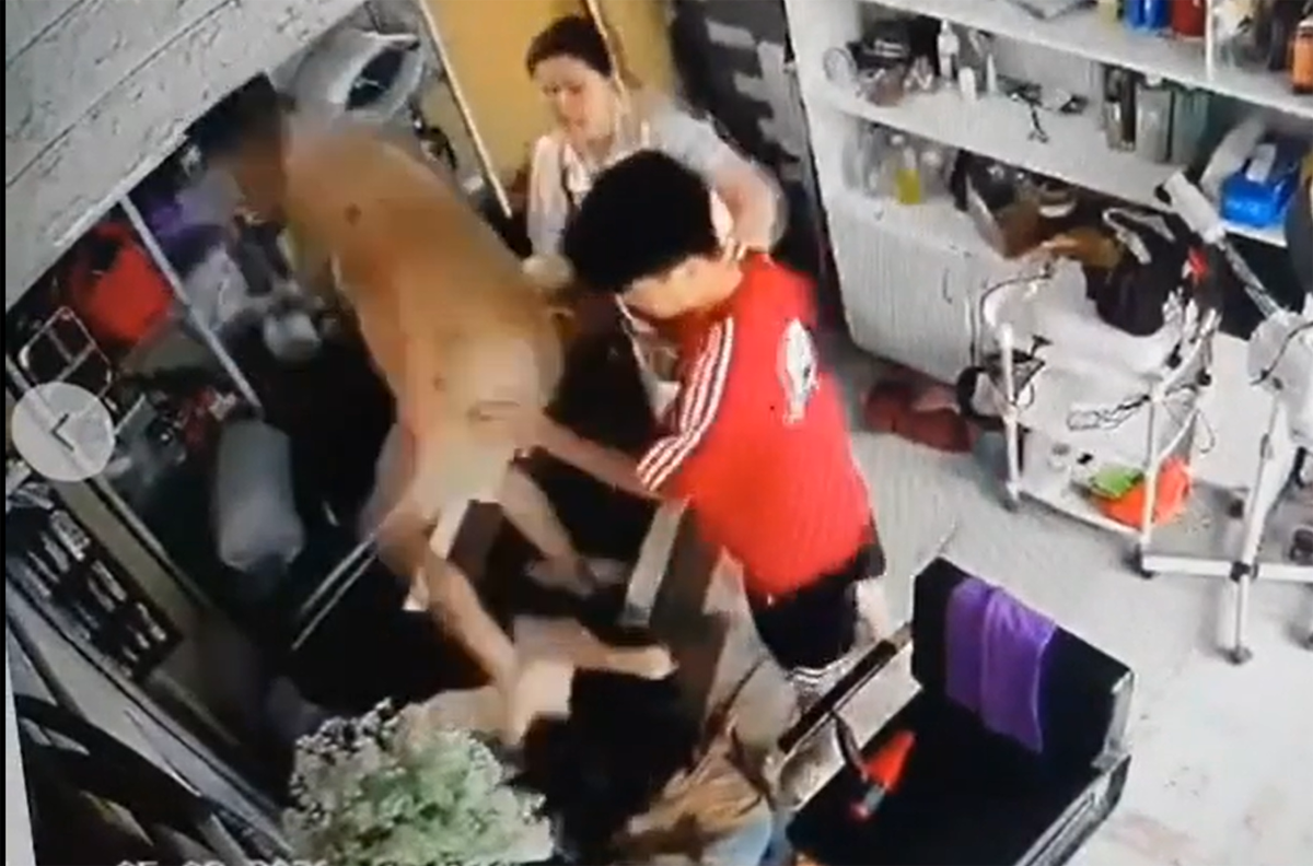 Công an Hà Nội vào cuộc vụ người phụ nữ ôm con nhỏ bị hành hung