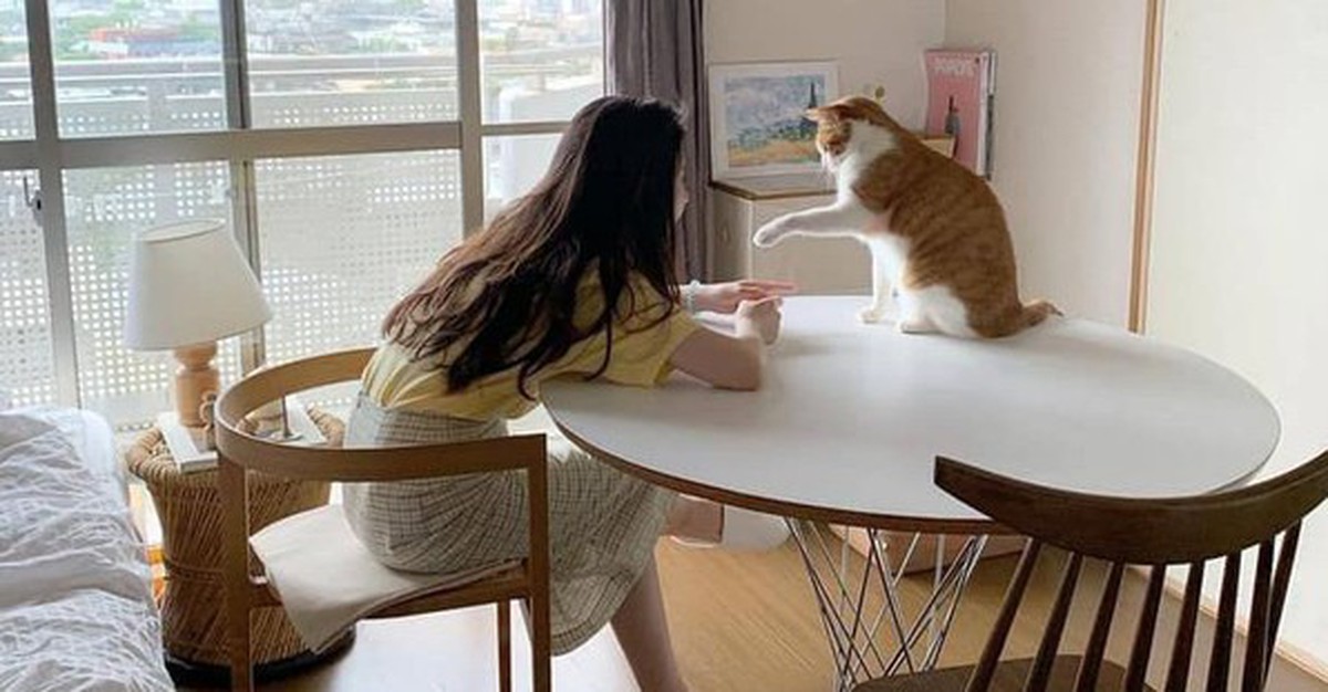 30 tuổi chưa mua được nhà, có lẽ tôi chỉ đủ sức nuôi nổi bản thân