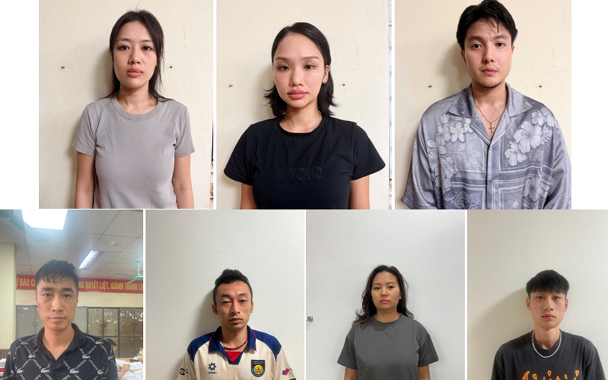 Vụ Miu Lê tổ chức, sử dụng ma túy ở đảo Cát Bà: Nhóm 6 người bị khởi tố về tội gì?
